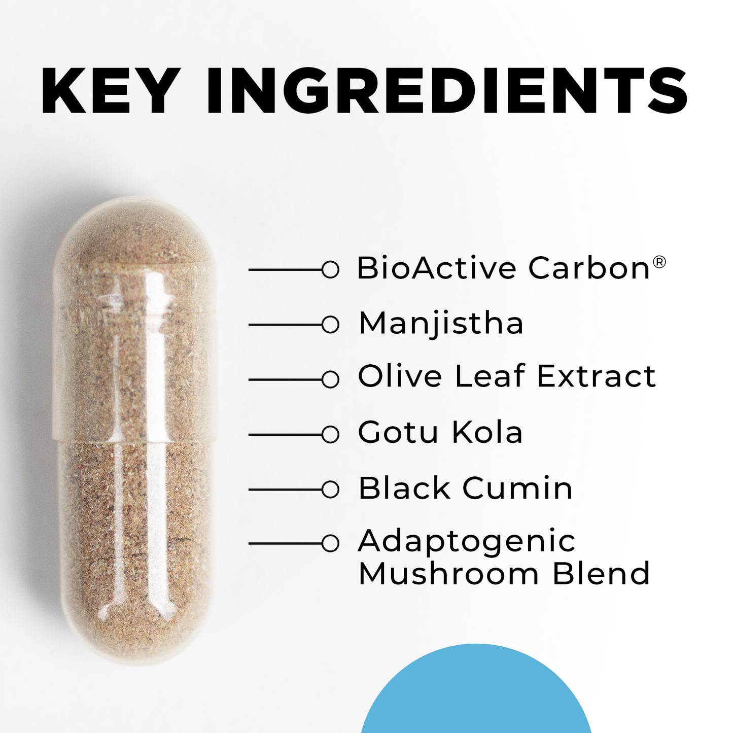 Drainage Activator Key Ingredients